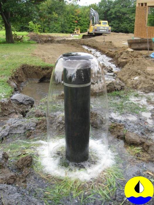 Фото из открытого источника