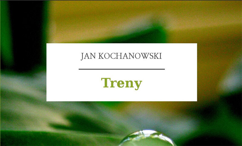 Обложка книги. 