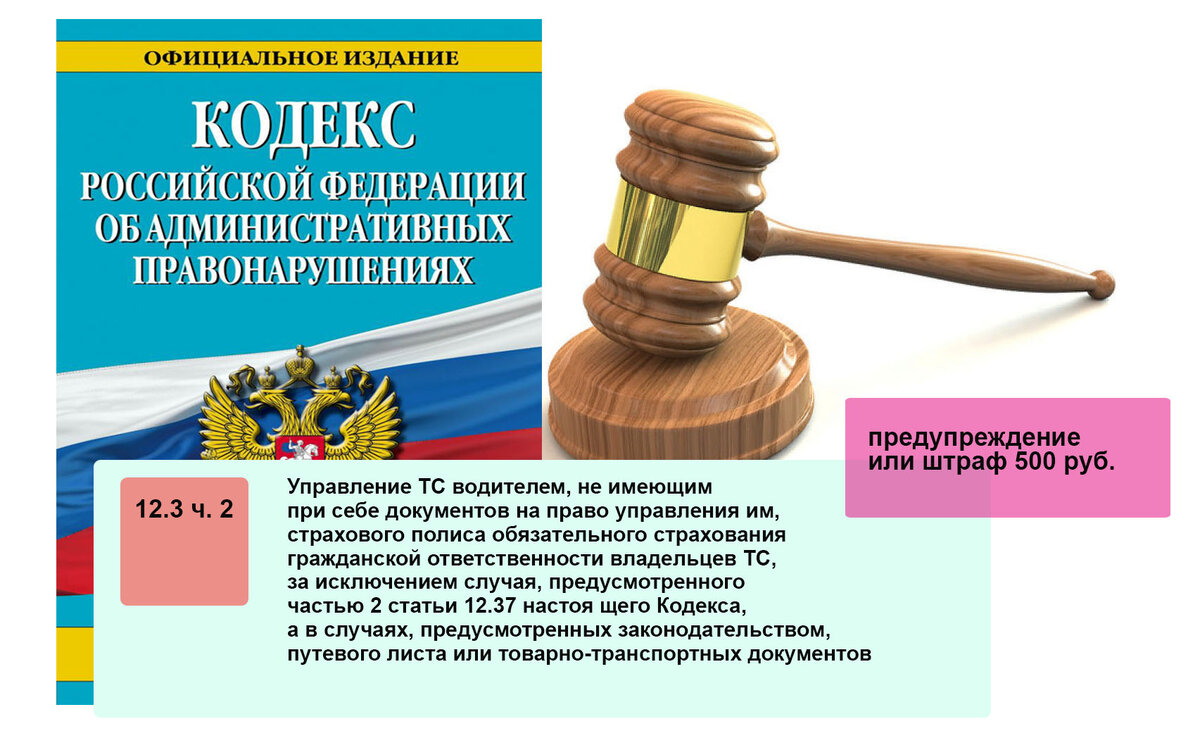 Забыл водительское удостоверение. Как быть? | Клуб Дорог | Дзен