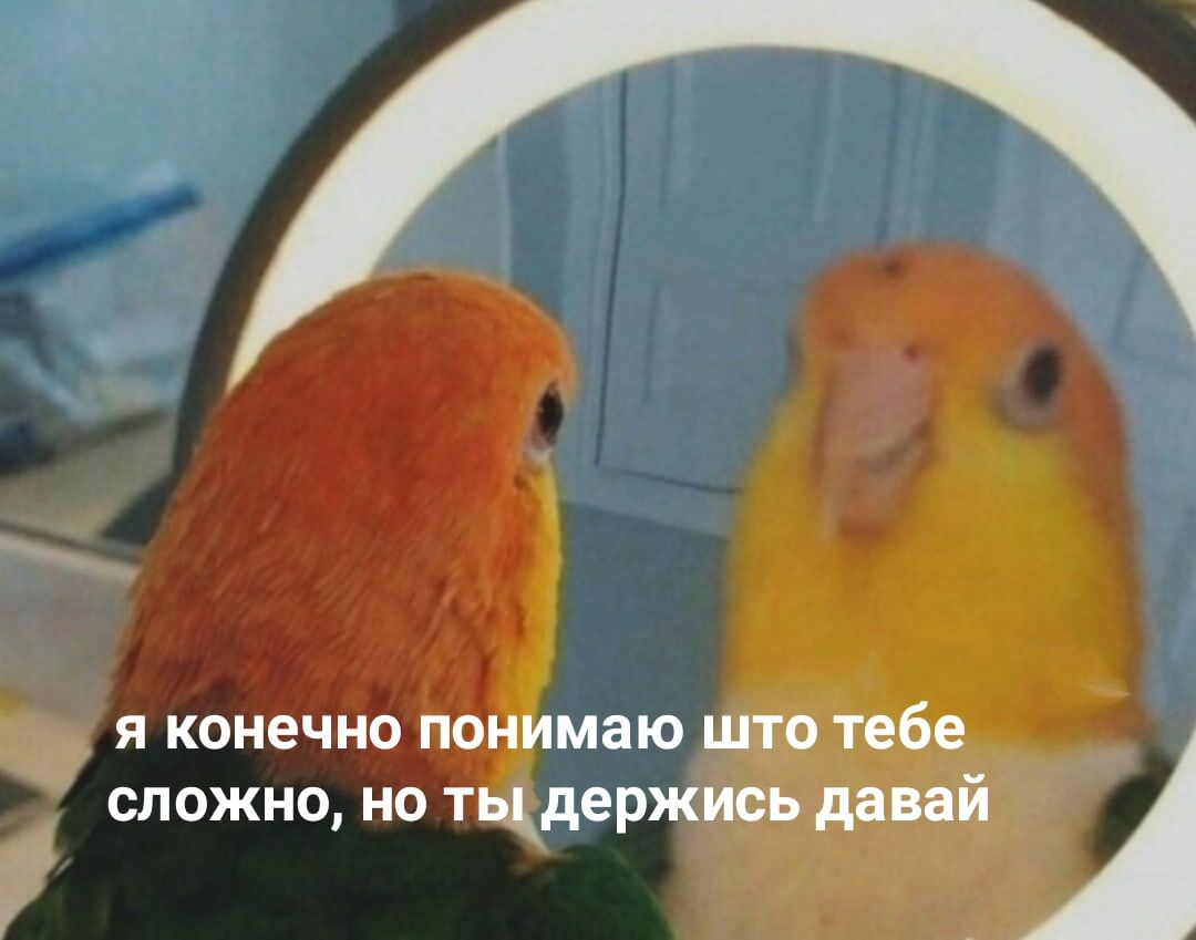 Эмоции делают человека человеком. Делают нас теми, кто мы есть.
