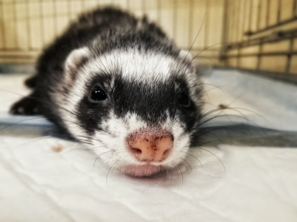 Фотография сделанная в клинике лично мной.