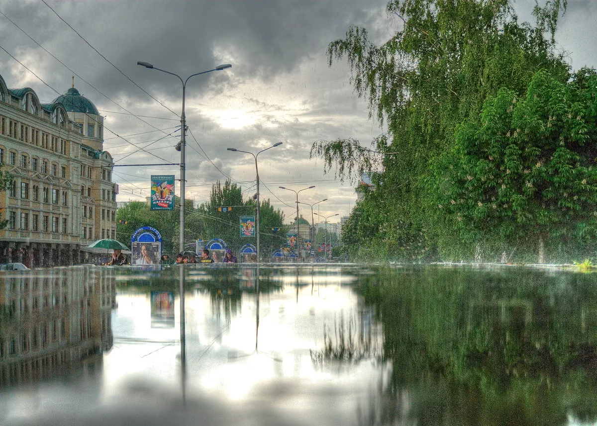 Картинка Яндекс.