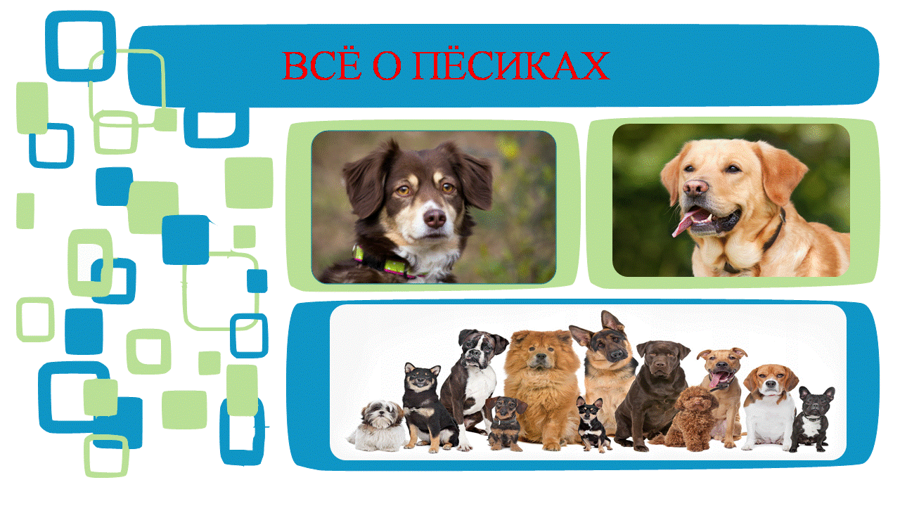 Наша обложка " Всё о пёсиках " . 
