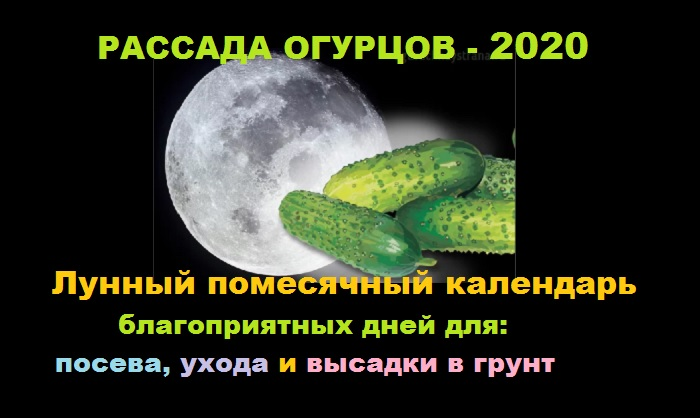 Огурчики 2020. Лунный календарь огурцы. Лунный календарь для посева огурцов. Благоприятные дни для посева огурцов на рассаду. Лунный календарь посадки огурцов.