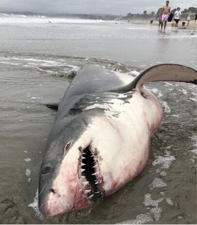 Источник: yandex.ru