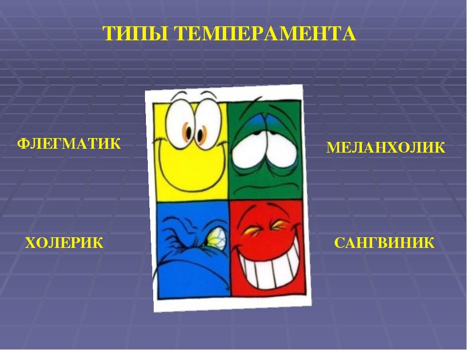 5 типов темперамента. Типы темперамента. Тип темперамента холерик. 4 Темперамента. Холерик сангвиник.