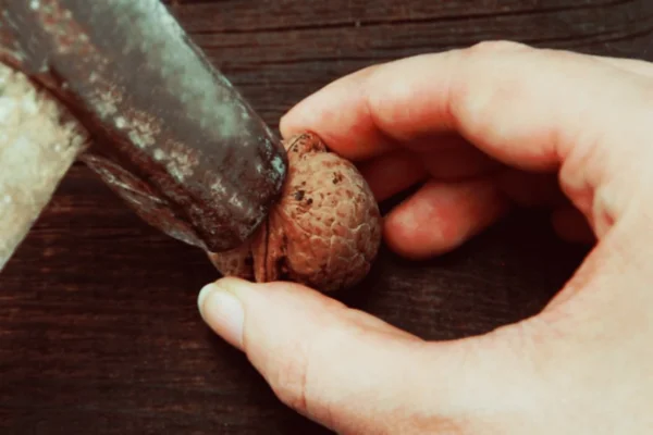 Возможная причина появления раны.  Подписывайтесь на канал, чтобы узнавать о новых статьях первым)