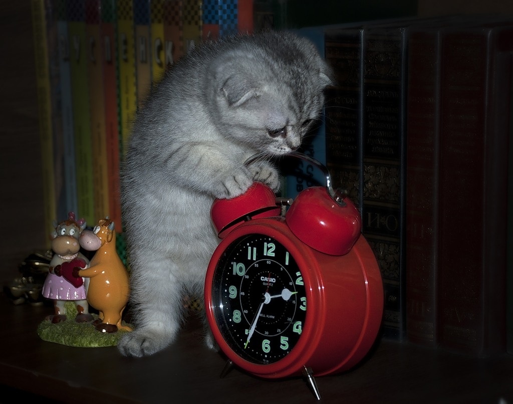 Фото взято из  этого источника: https://yandex.ru/images/search?text=%D1%80%D0%B6%D0%B0%D0%BA%D0%B0%20%D0%B1%D1%83%D0%B4%D0%B8%D0%BB%D1%8C%D0%BD%D0%B8%D0%BA&ncrnd=1581691197311-8969824818507450&pos=4&img_url=https%3A%2F%2Fsoyuz-pisatelei.ru%2F_fr%2F36%2F3762368.jpeg&rpt=simage