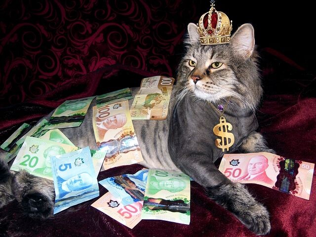 Источник изображения- pixabay.com 