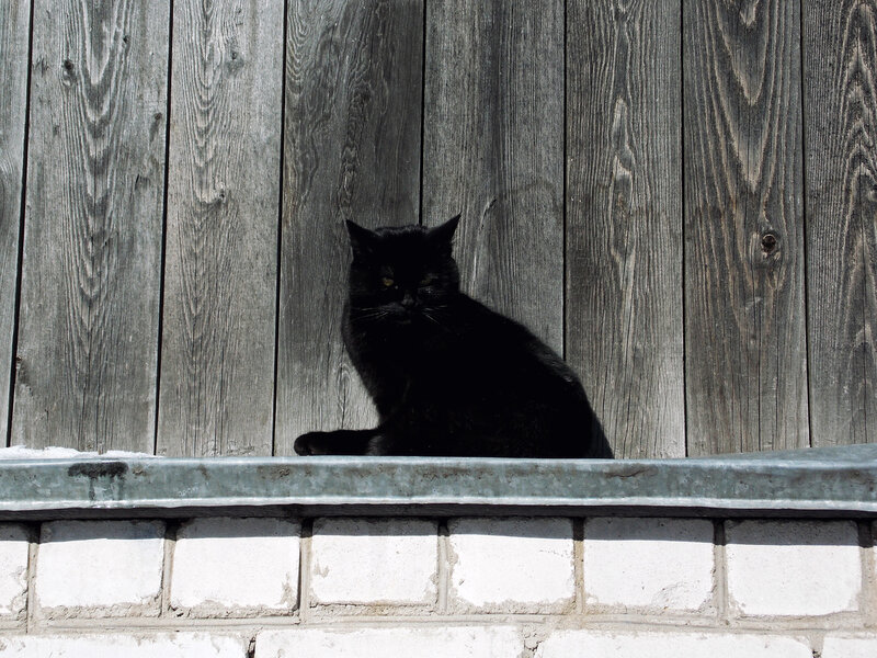 Фотография из интернета