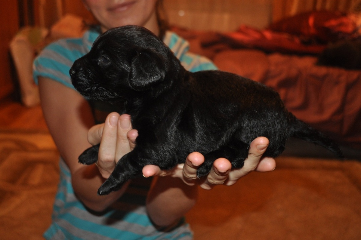 Не смогла найти фото, где все трое. Единственное фото совсем маленького. Это уже через пару недель дома.