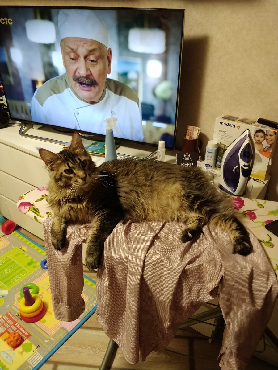 Погладь меня, а не рубашку