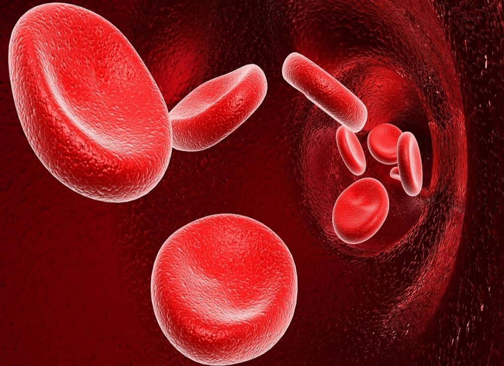 фото взято  из интернета