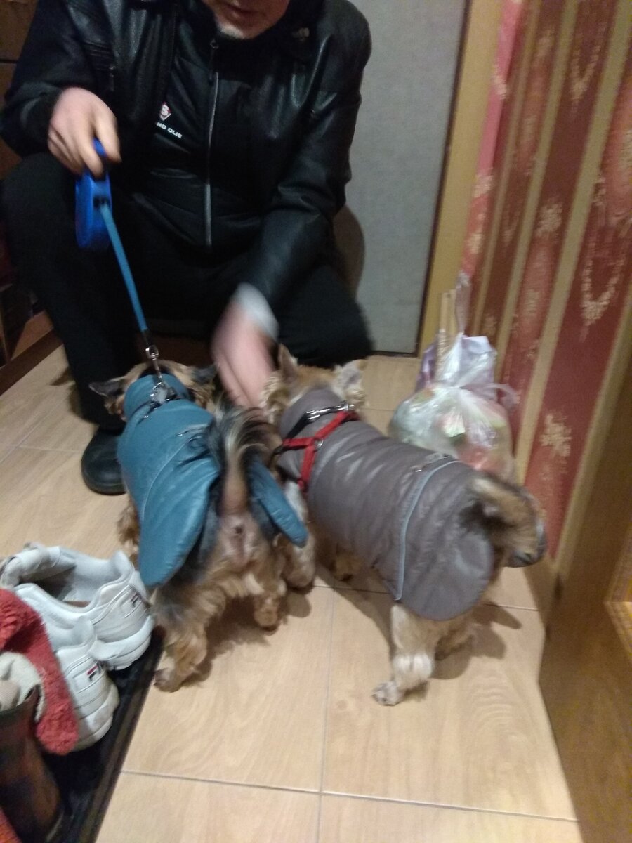 Вот такие одинаковые жилеты купила, только цвета разные