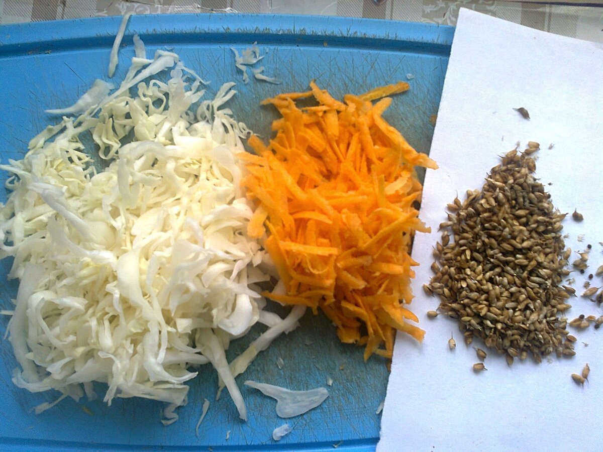 Таежка 8 дзен. Восковник семена купить. Таежка 8 дзен. Таежка 8 дзен. Таежка 8 дзен.