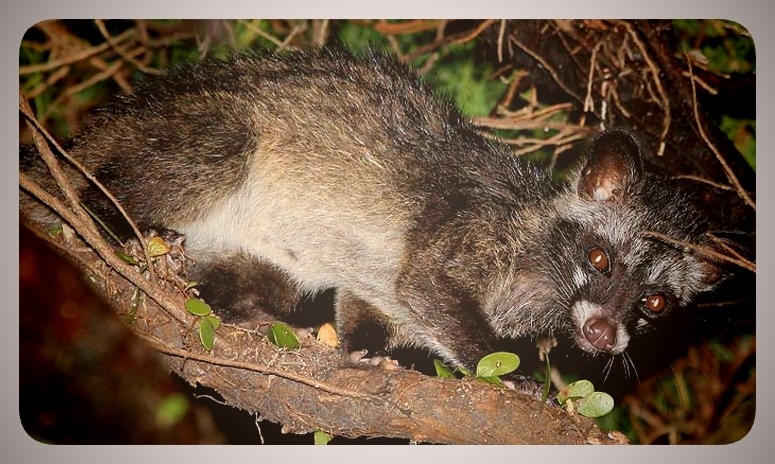 В природных условиях