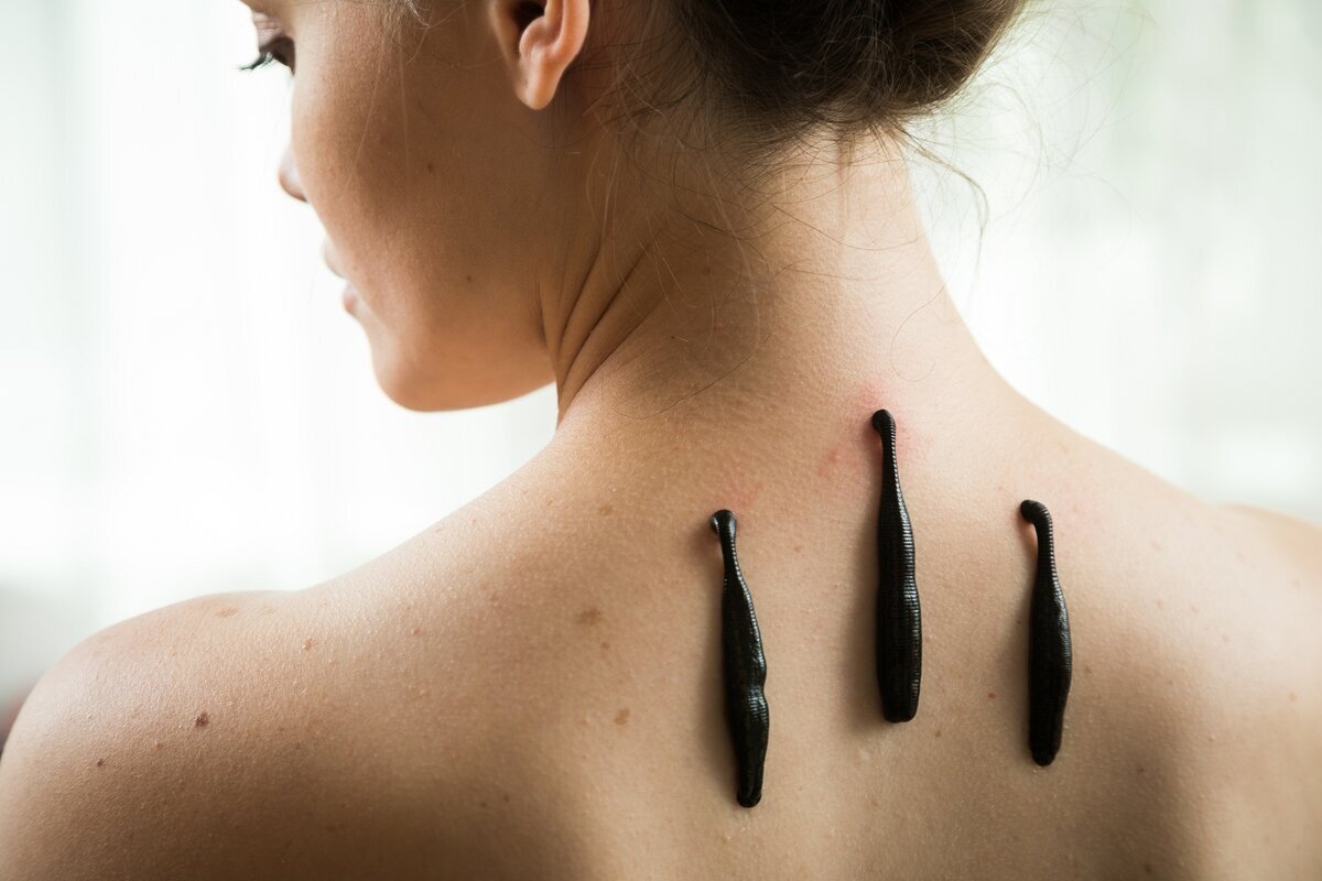 фото из интернета.