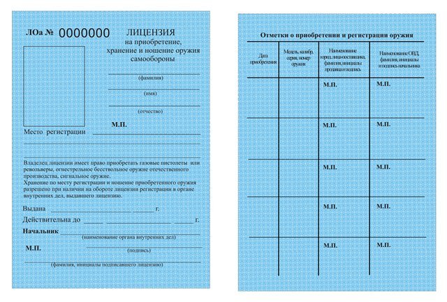 Образец лицензии на оружие