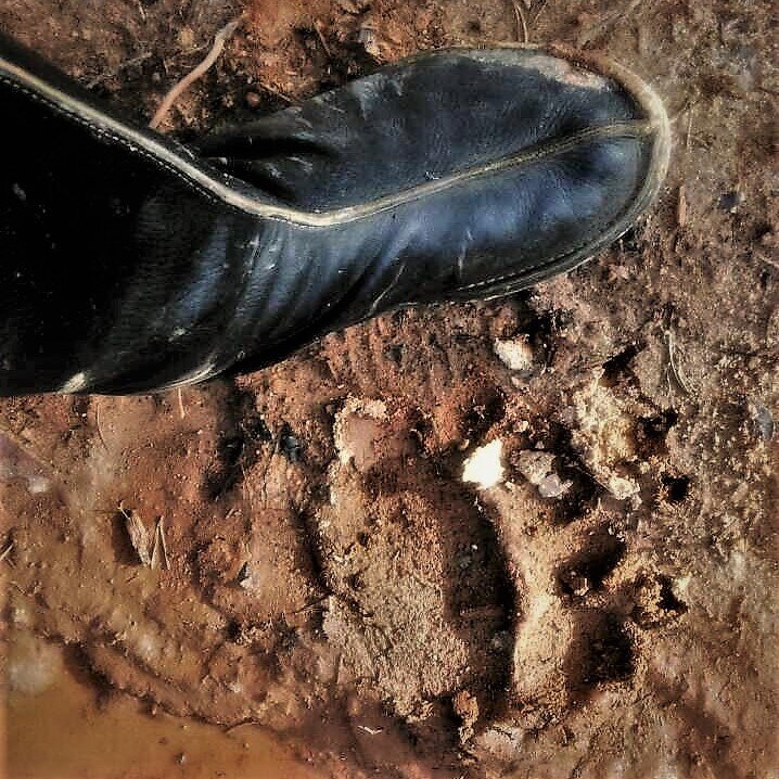 Не хотелось бы повстречаться...