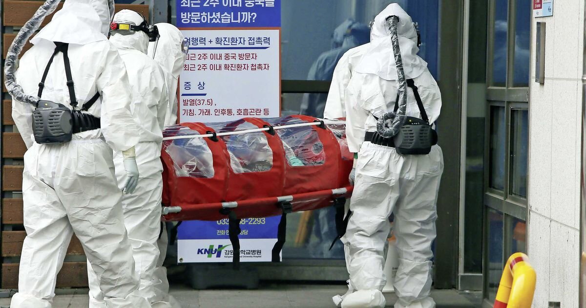 Фото взято с telegraaf.nl