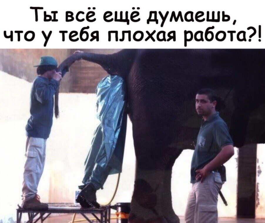 Интересно что может тебя заставить на такое, загадка!! 