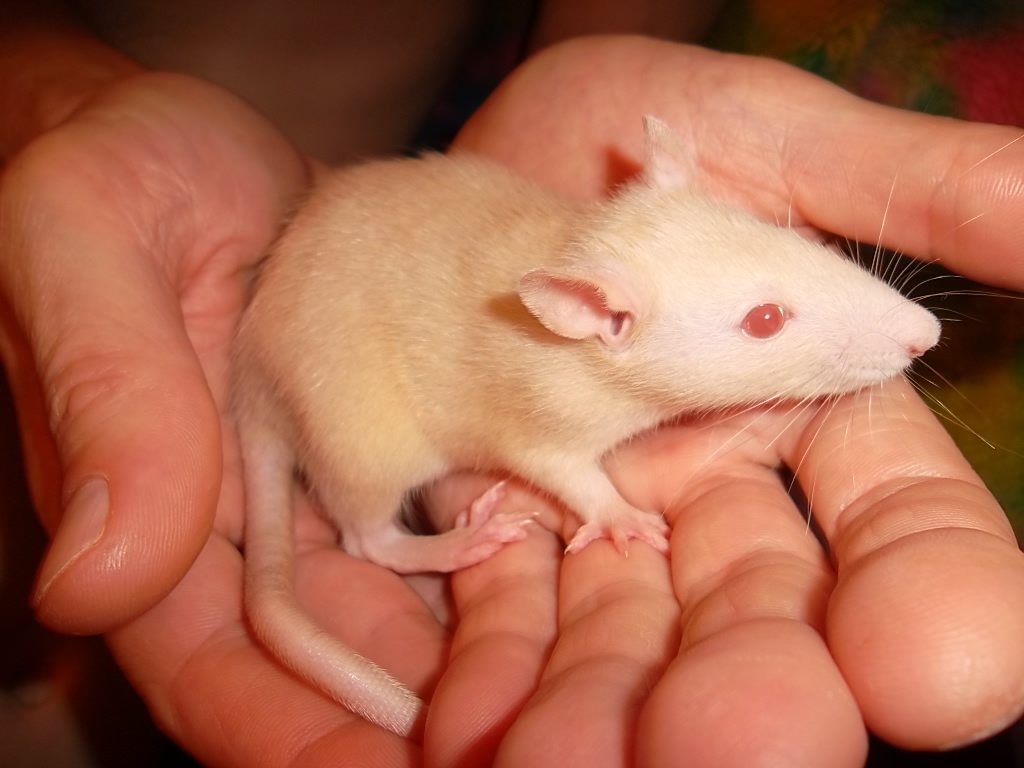 Приобретать приятно, а терять больно.