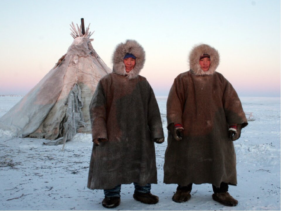 Чукча на севере. Чукчи ненцы Эскимосы. Ненцы и чукчи. Чукчи Эскимосы Коряки. Ненцы и якуты.