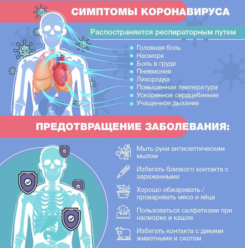 Симптомы коронавируса. Источник Картинки Yandex.ru