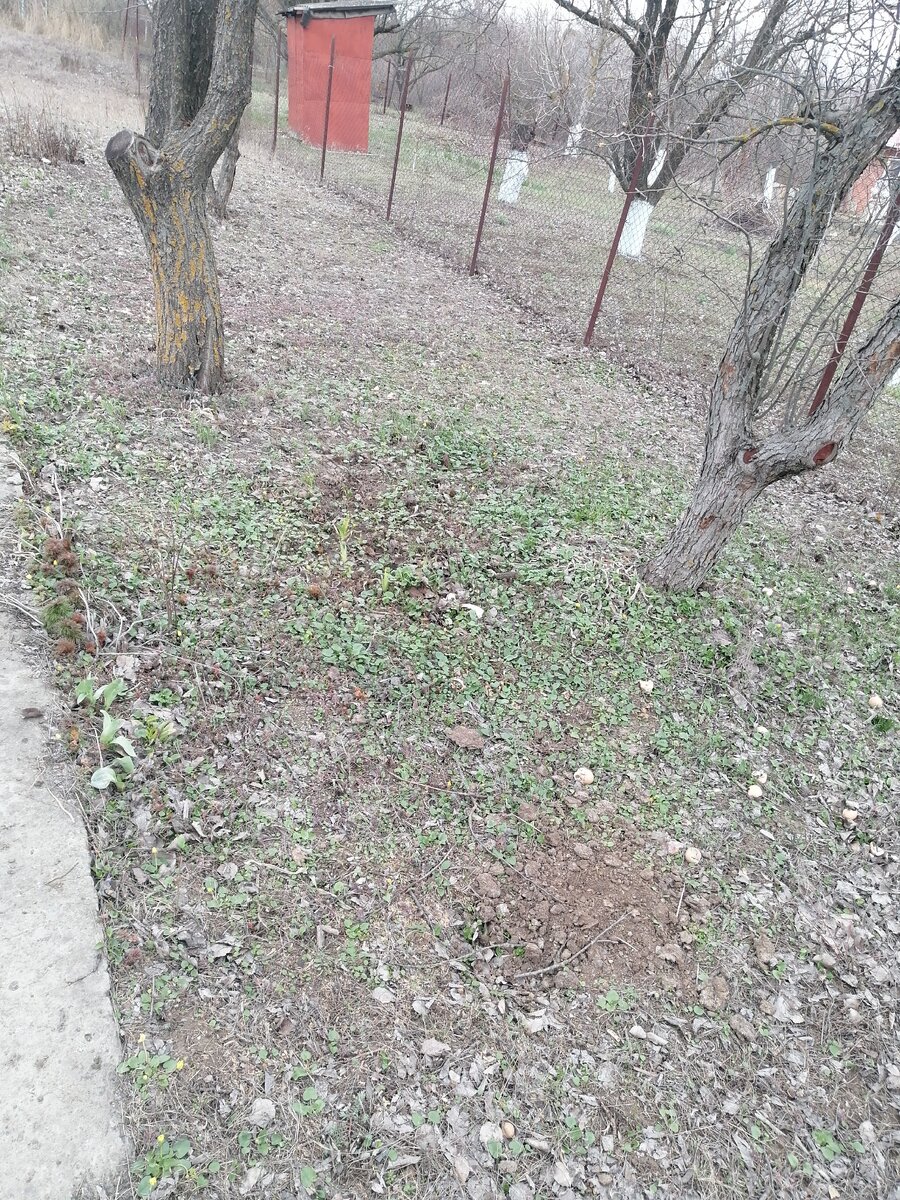 Место, куда я выбрасываю свое говно