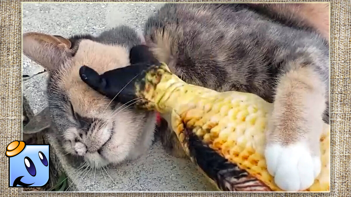 Так мало нужно для счастья.