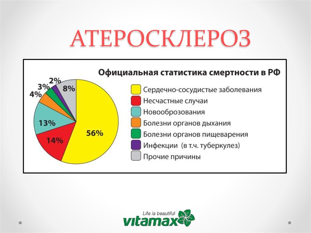 Из открытых источников интернета