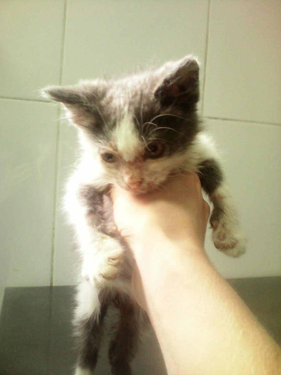 Фото от автора.
