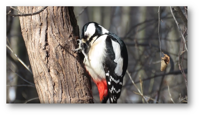 Фото из собственного архива