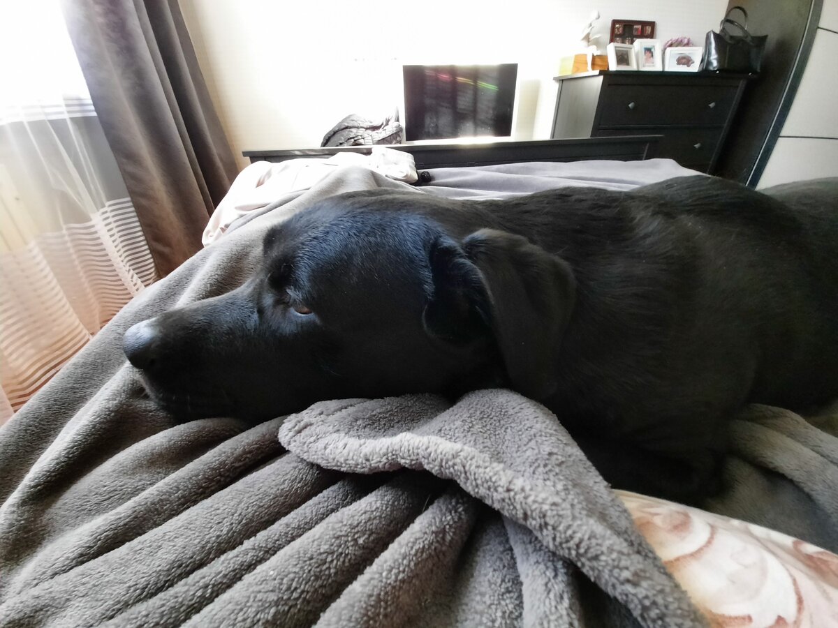 Паня со мной в кроватке нежится