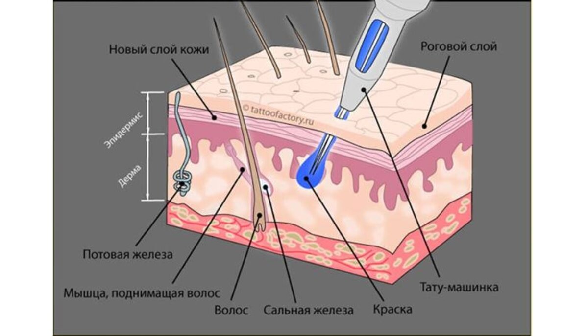 Процесс нанесения татуировки