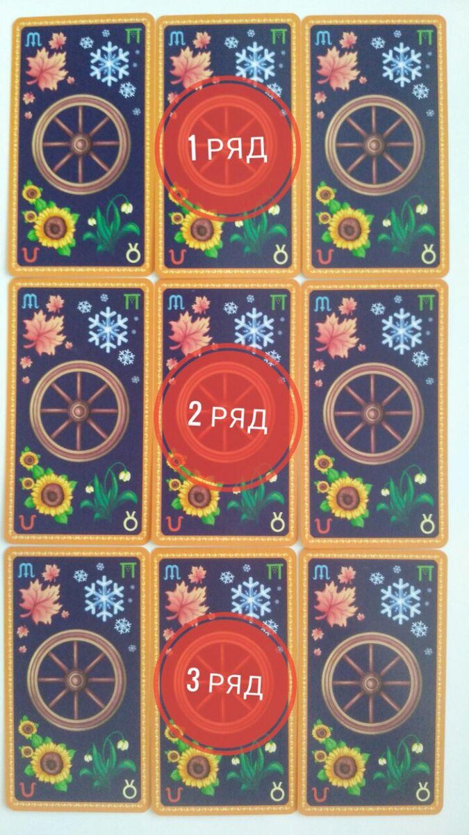 фото  автора