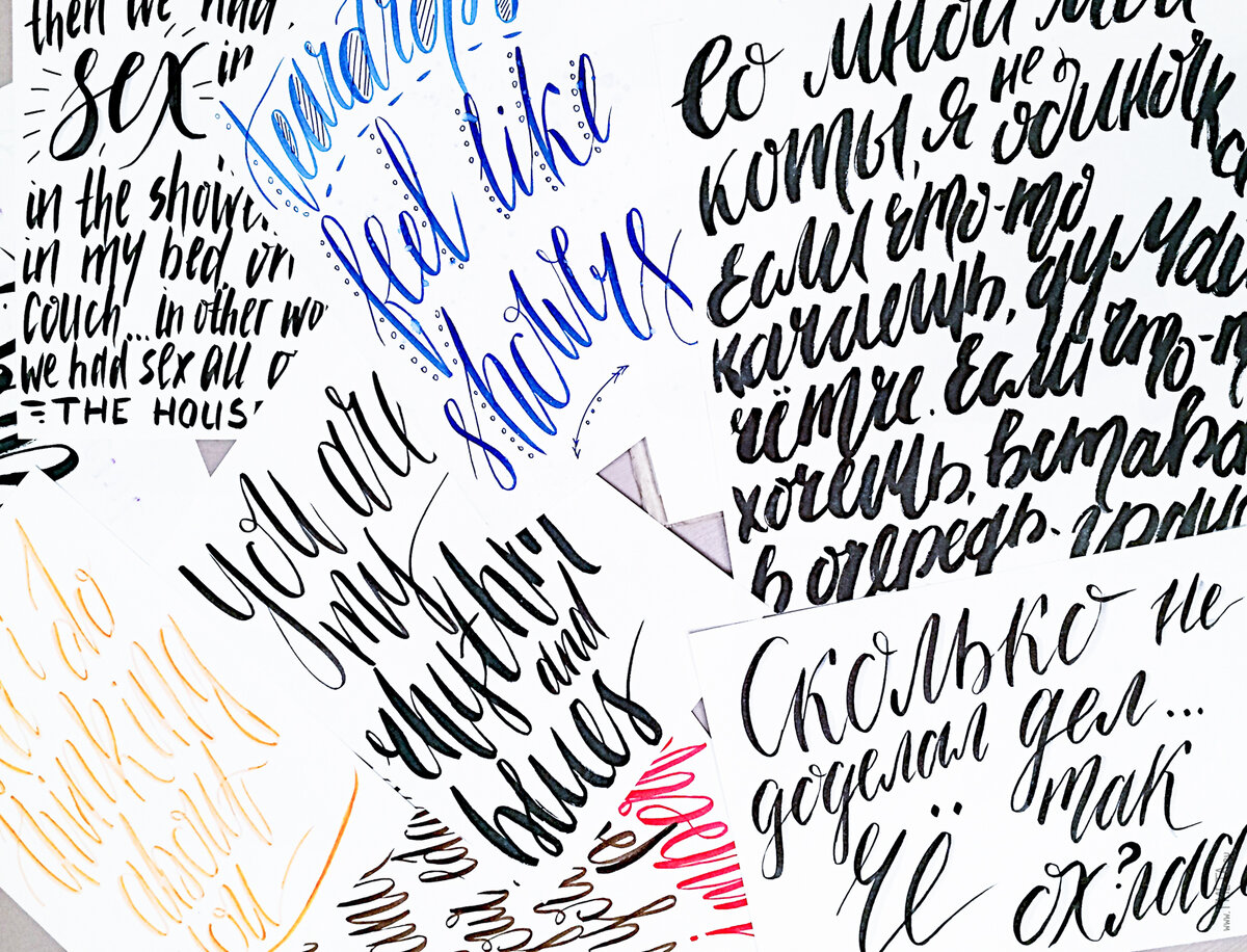 (c) Tasha Metamorfosis