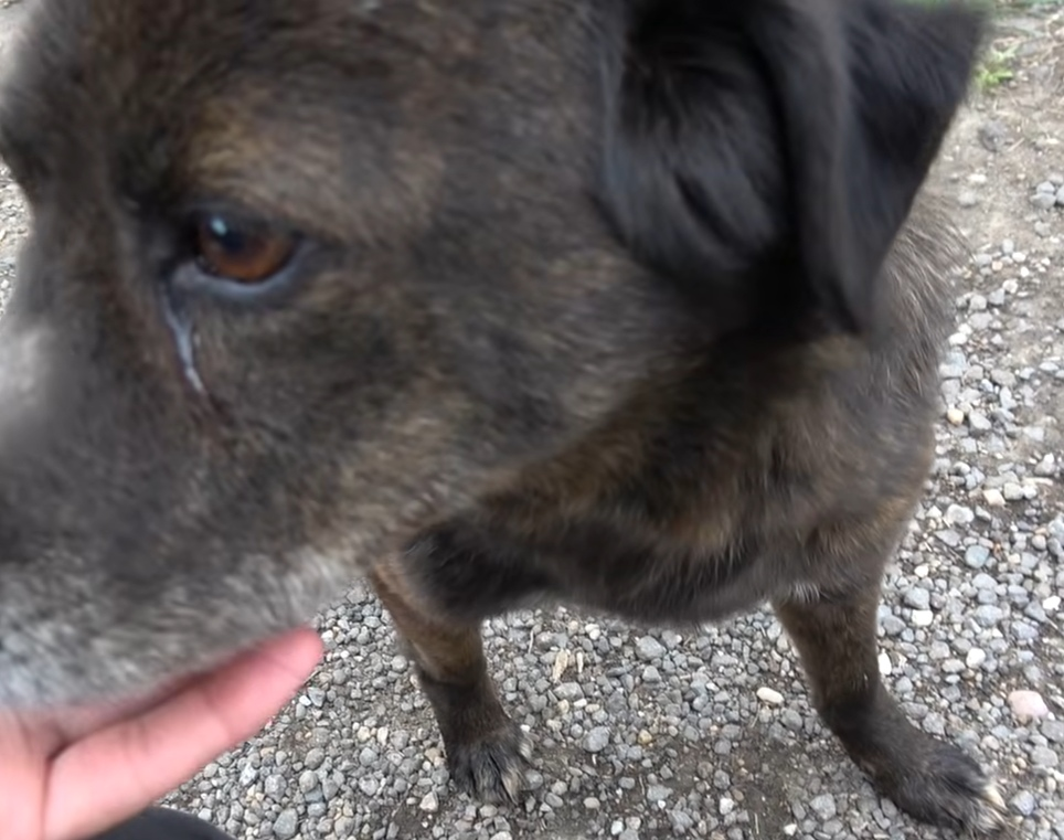 Наконец-то смогла приблизиться к нему...