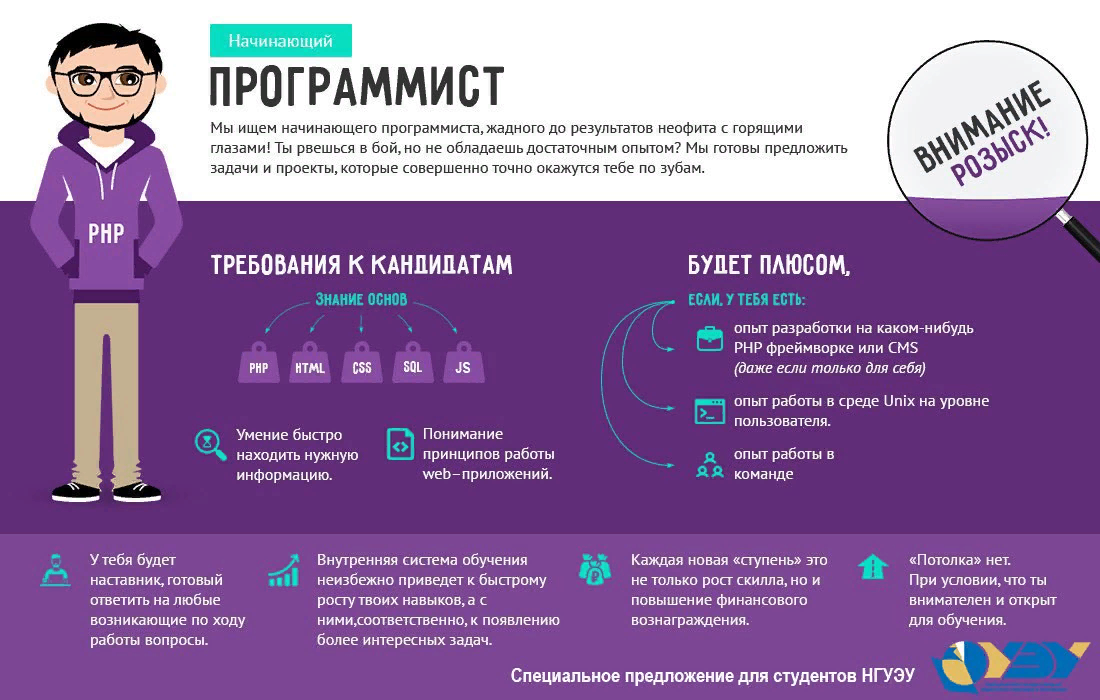 Курс по инфографике москва. Инфографика программист. Инфографика про работу программиста. Требуется программист. Плакат программист.