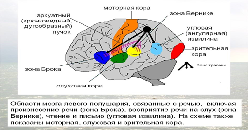 Синестези́я — это феномен, при котором раздражение в одной сенсорной или когнитивной системе мозга ведёт к автоматическому, непроизвольному отклику в другой сенсорной системе.-2