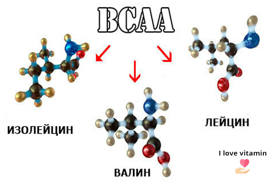 Аббревиатура ВСАА означает английский термин « аминокислота с разветвленной цепью» и описывает так называемую разветвленную цепь аминокислот кислот , лейцин, изолейцин и валин