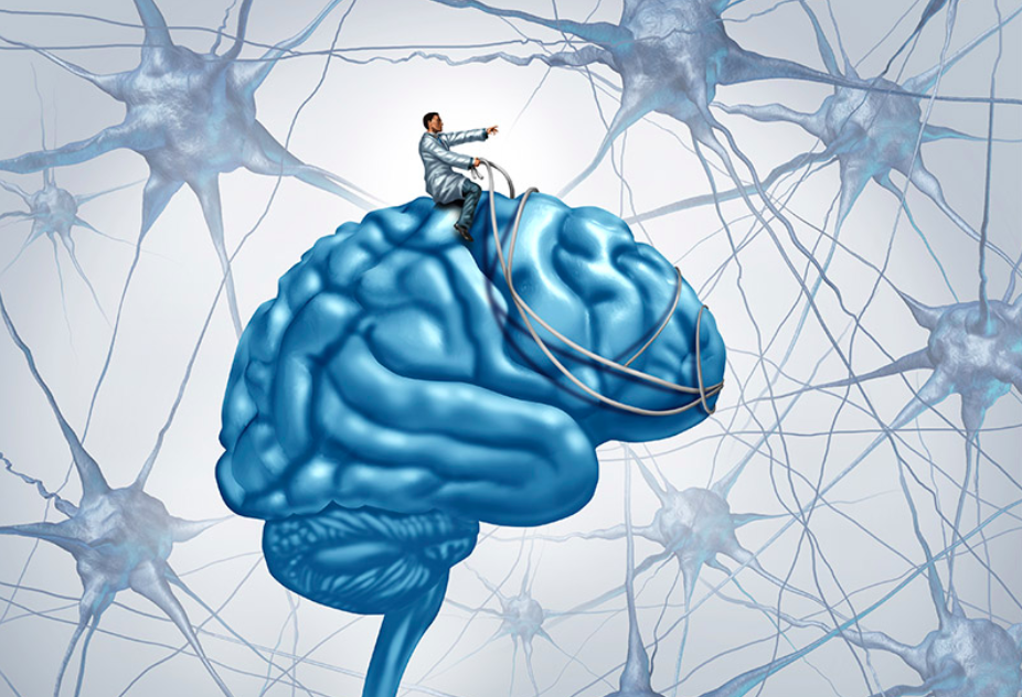 Ты - всадник своего сознания