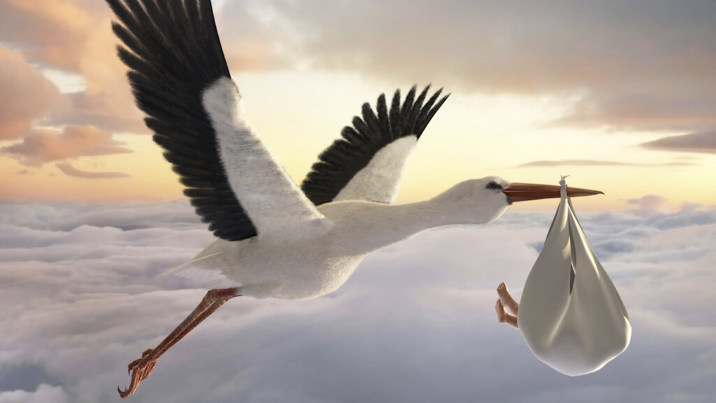 Источник фото-Яндекс.Картинки