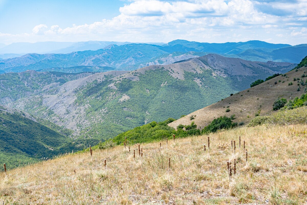 Гора сырт