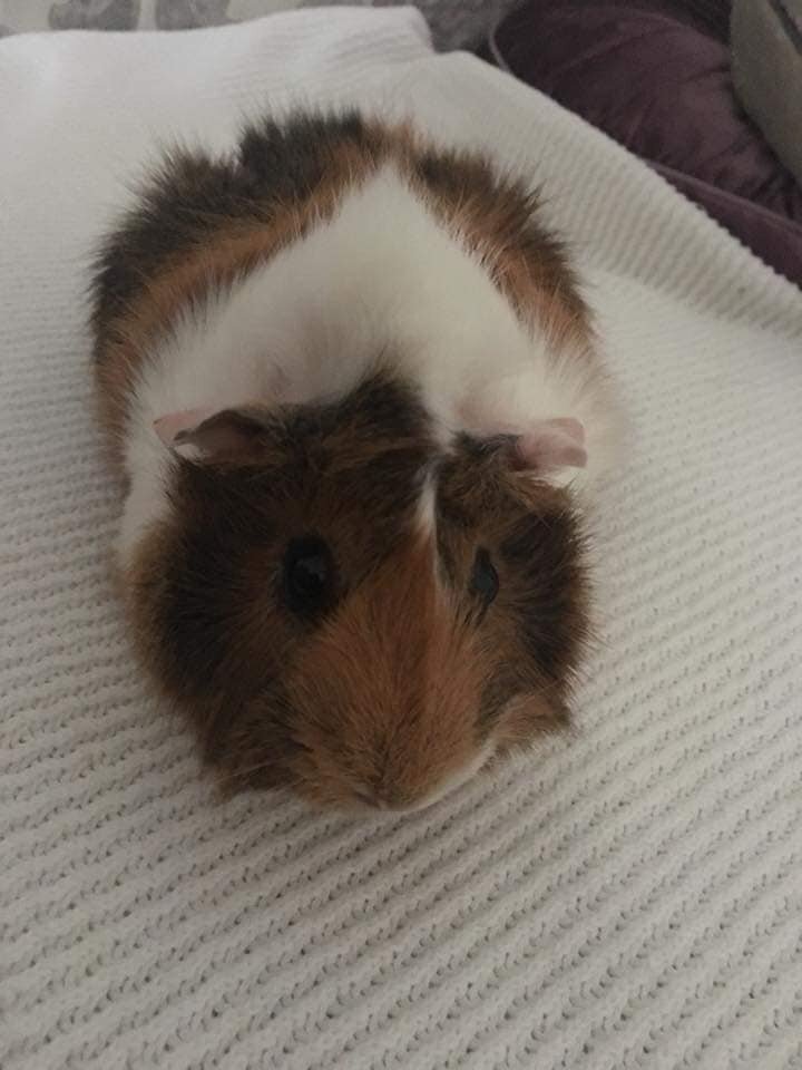 Первое фото -  Люся в 2018.