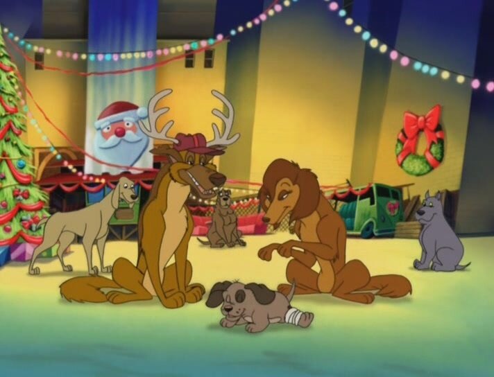 «Главное в собаке не красота, а умные глаза и приятная манера держаться»