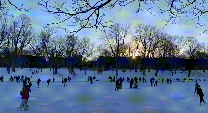 В хорошую погоду - очень много желающих встать на коньки: места хватает всем