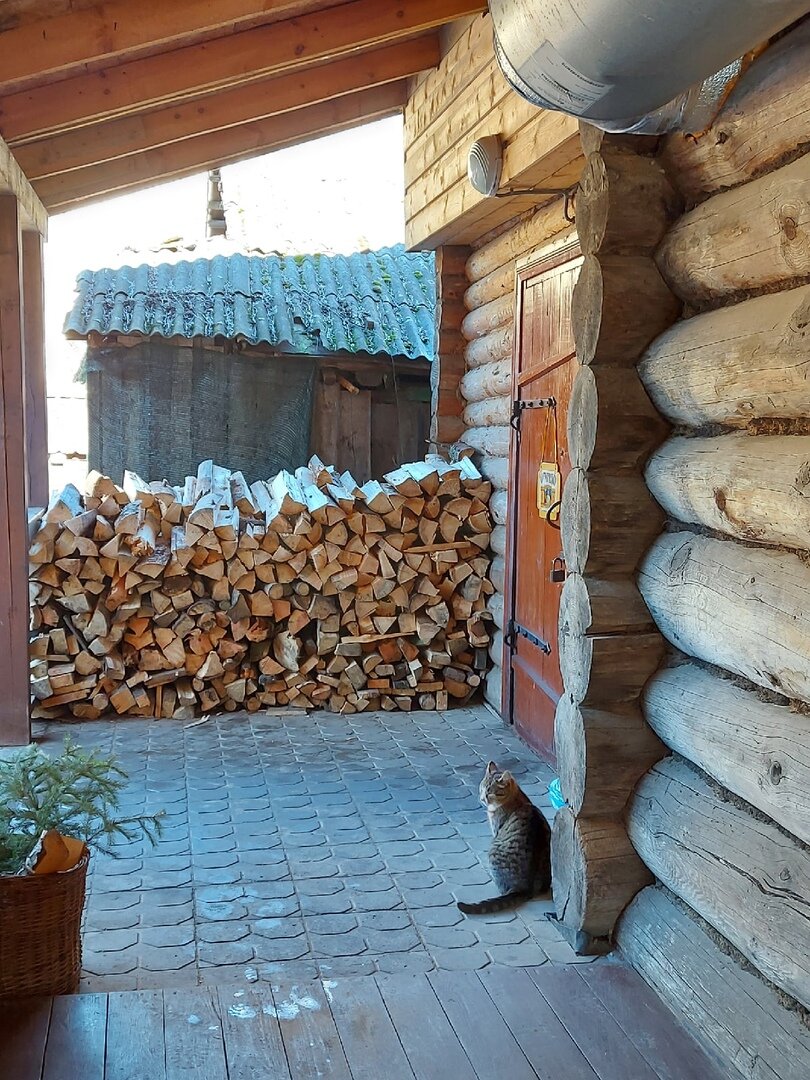 В статье использованы фото автора