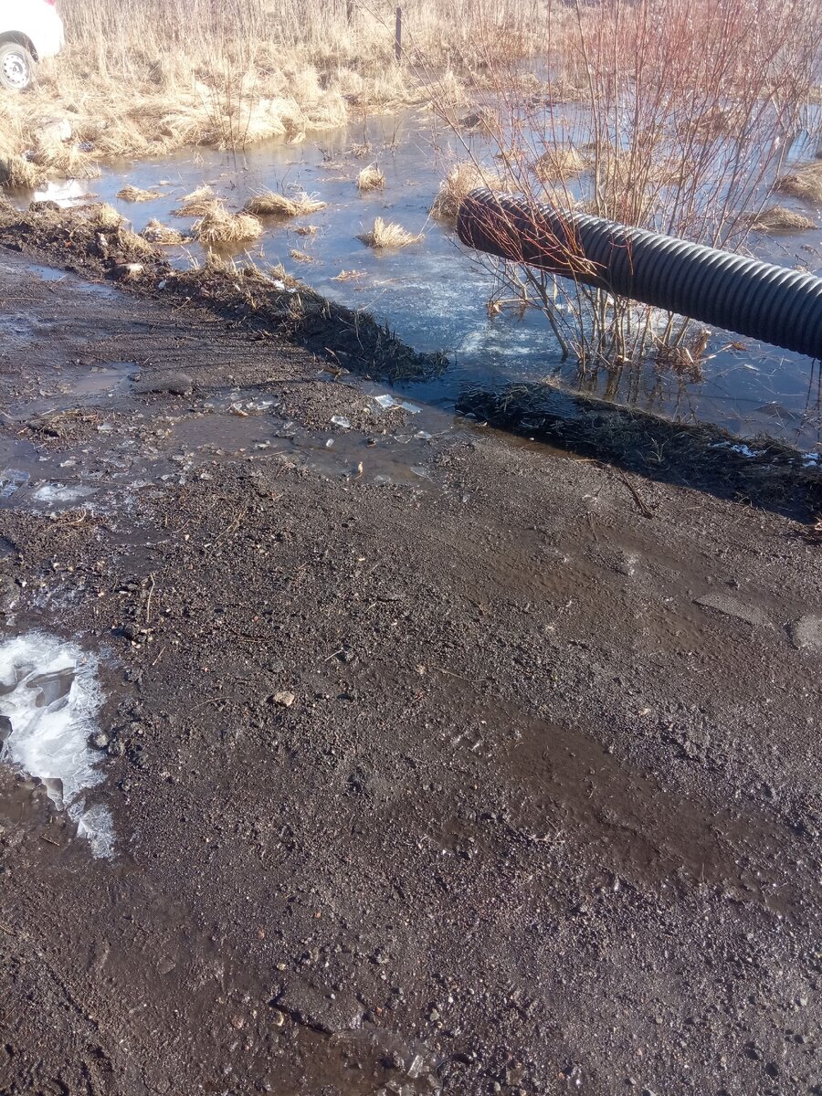 Фото со сторону участка
