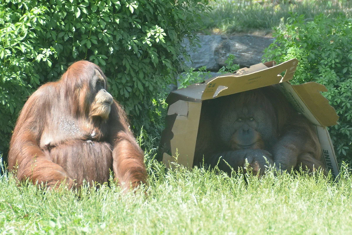 фото взято из открытых источников